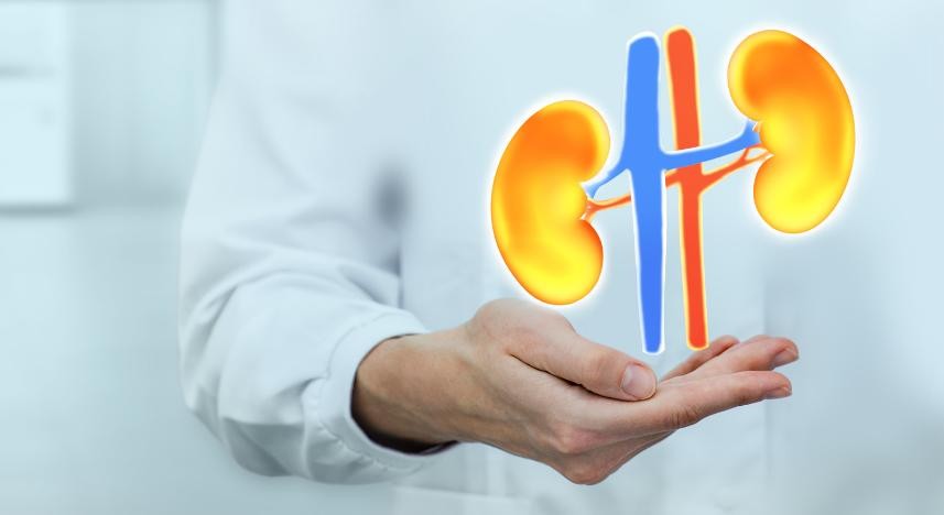 Urologista