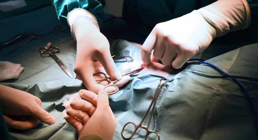 Meatoplastia e Meatotomia