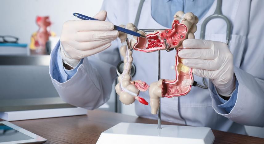 Gastroenterologista